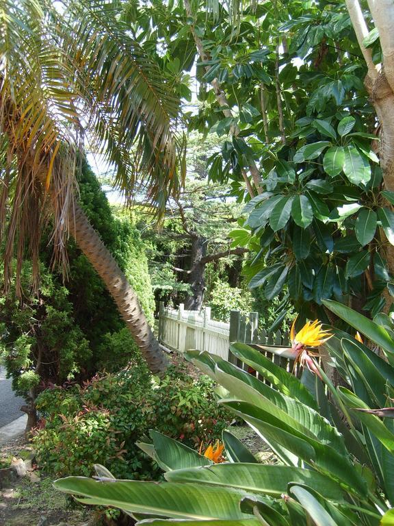 Tantarra Guest House - Pet Friendly Warners Bay Exterior foto